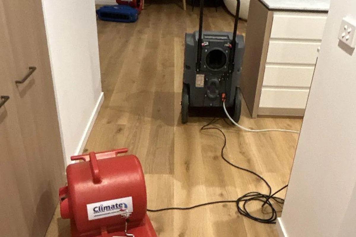 Drying equipment running in an affected apartment interior