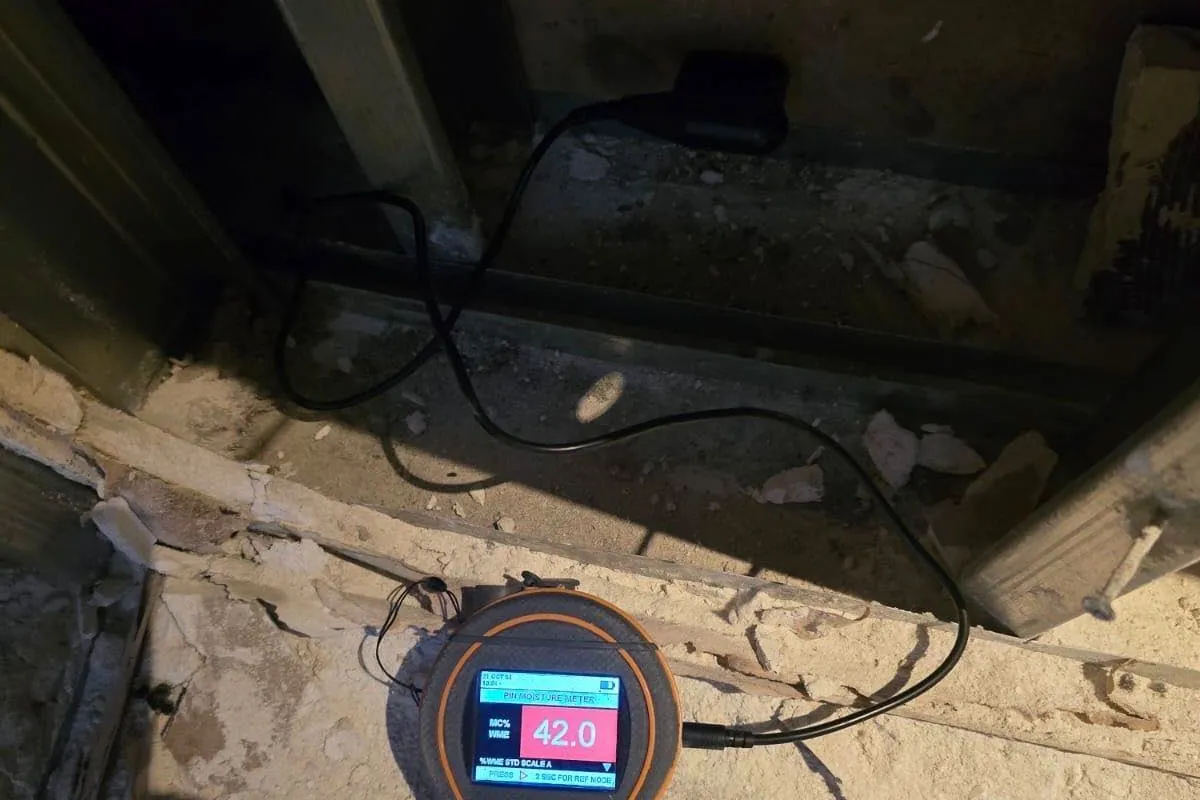 Moisture meter reading taken on the affected substrate
