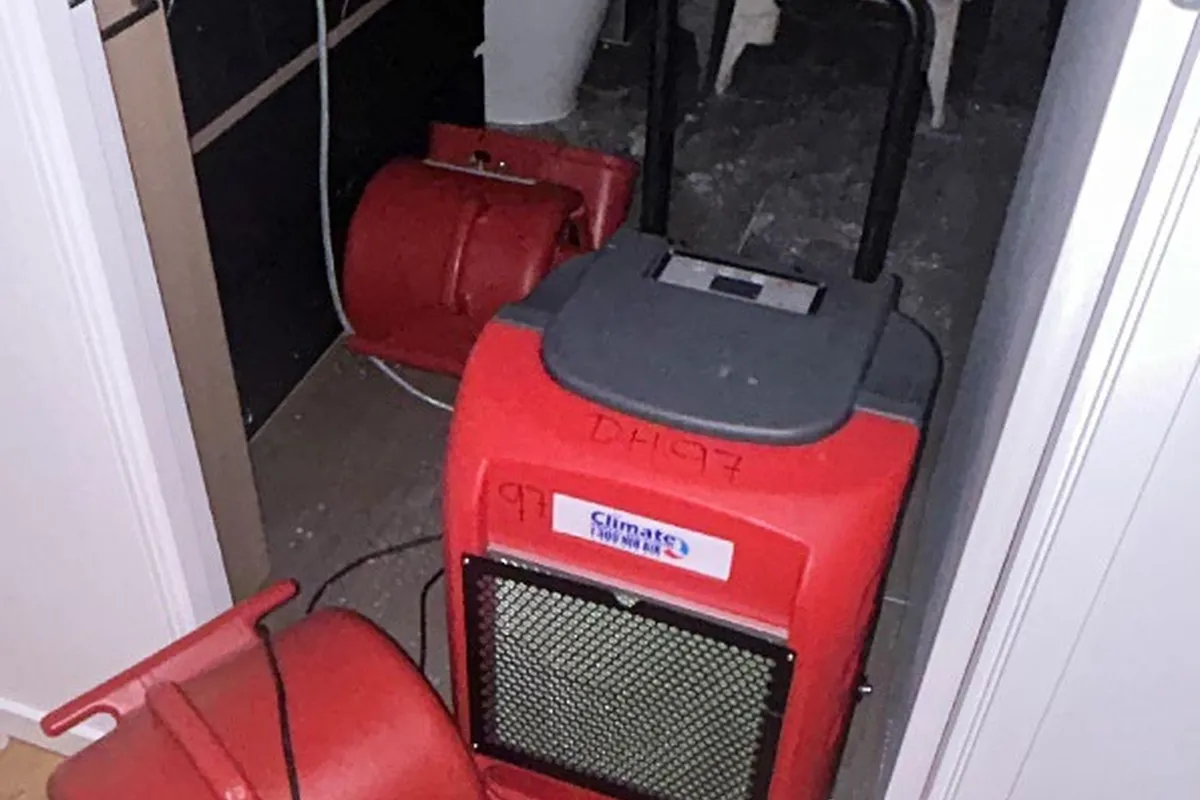 Dehumidifiers positioned in an apartment entry area