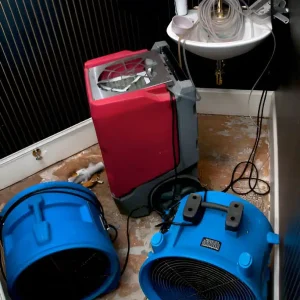 steptodown.com141563 steptodown.com141563