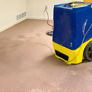 steptodown.com407663 steptodown.com407663