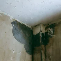 steptodown.com583427 steptodown.com583427